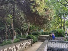 -沙市市中山公园