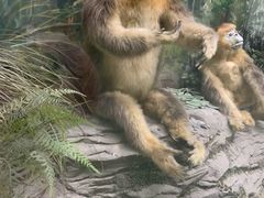 -国家自然博物馆