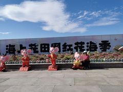-杭州湾海上花田景区
