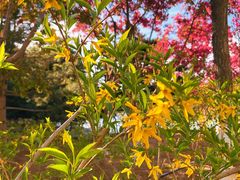 -大兴滨河森林公园