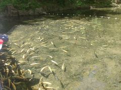 -本溪关山湖风景区