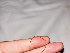 -抚顺中伟假日国际酒店