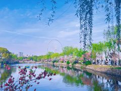 -无锡蠡湖国家湿地公园-蠡园