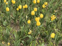 -长春公园(普阳街道)