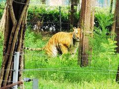 -秦皇岛野生动物园