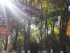 -杭州电子科技大学(下沙校区)
