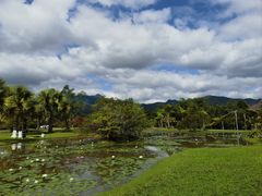 -中国科学院西双版纳热带植物园