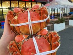-品鲜村农家菜·阳澄湖大闸蟹(总店)