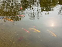 -青岛鑫江温德姆酒店