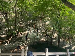 -青檀寺景区