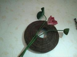 -爱美丽科技美肤中心