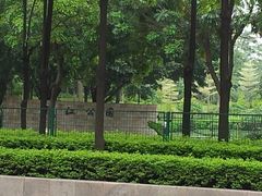 -广州珠江公园
