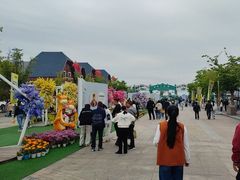 -荷兰花海