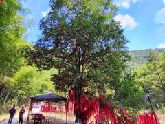 -千泷沟大瀑布旅游区