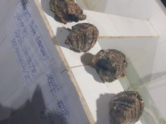 -海盗餐厅
