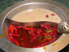 -麻田会 ·鲜活现烹·牛蛙火锅(珠江新城维家思广场店)