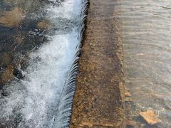 -北仑森林植物园