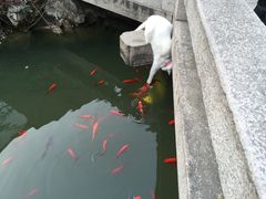 -苏州文旅花间堂·探花府酒店