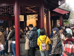 -鸡鸣赐茶(鸡鸣寺路店)