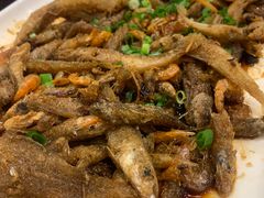 -丰食农家乐