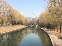 -朝阳公园
