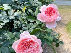 -人民公园(罗湖区)