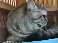 -联合动物医院(光谷诊疗中心)