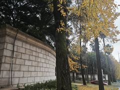 -棕榈泉国际花园1期