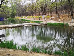 -云岗森林公园