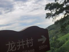 -龙井村