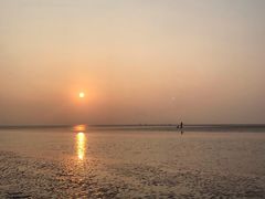 -南汇嘴观海公园