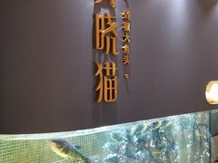 门面-黄晓猫剁椒大鱼头(海岸城店)