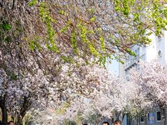 -天津五大道文化旅游区