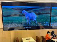 -蝎王府羊蝎子(北大地店)