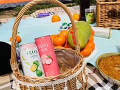 -天津武清北运河郊野公园房车露营地