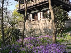 -大明寺素斋