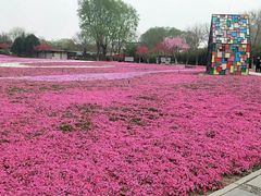 -石家庄市植物园