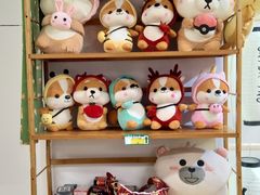 -柴迷FANS CLUB·柴犬狗咖·猫咖