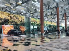 -樟宜机场免税店