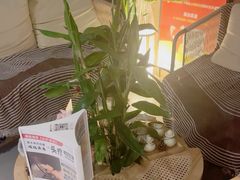 -施奈儿.洗头頭療.按摩SPA.采耳(上梅林店)