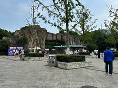 -合肥野生动物园
