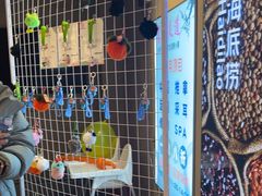 -海底捞火锅(宇飞大厦店)