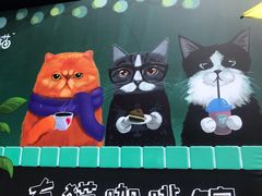 -有猫主题·治愈系猫咖(曾厝垵店)