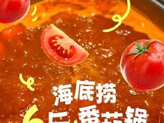 -海底捞火锅(劲松店)