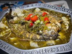 -马有鱼·馕坑烤全鱼(美美2店)