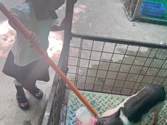 -史努比缤纷世界