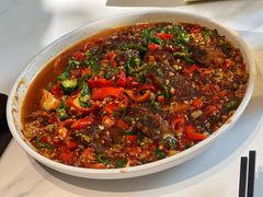 -欧记大排档·景德菜(上海首店)