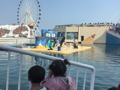 -秦皇岛乐岛海洋王国