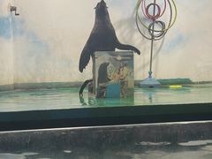 -嘉兴海底世界