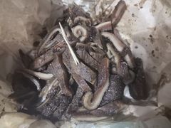-上海牛羊肉公司塘沽路清真门市部